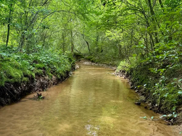 844 Bateman Rd, Louisville, MS 39339