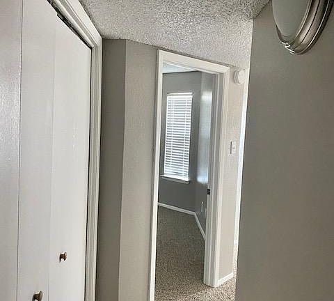 5th image of 316 Audra Ln #316
