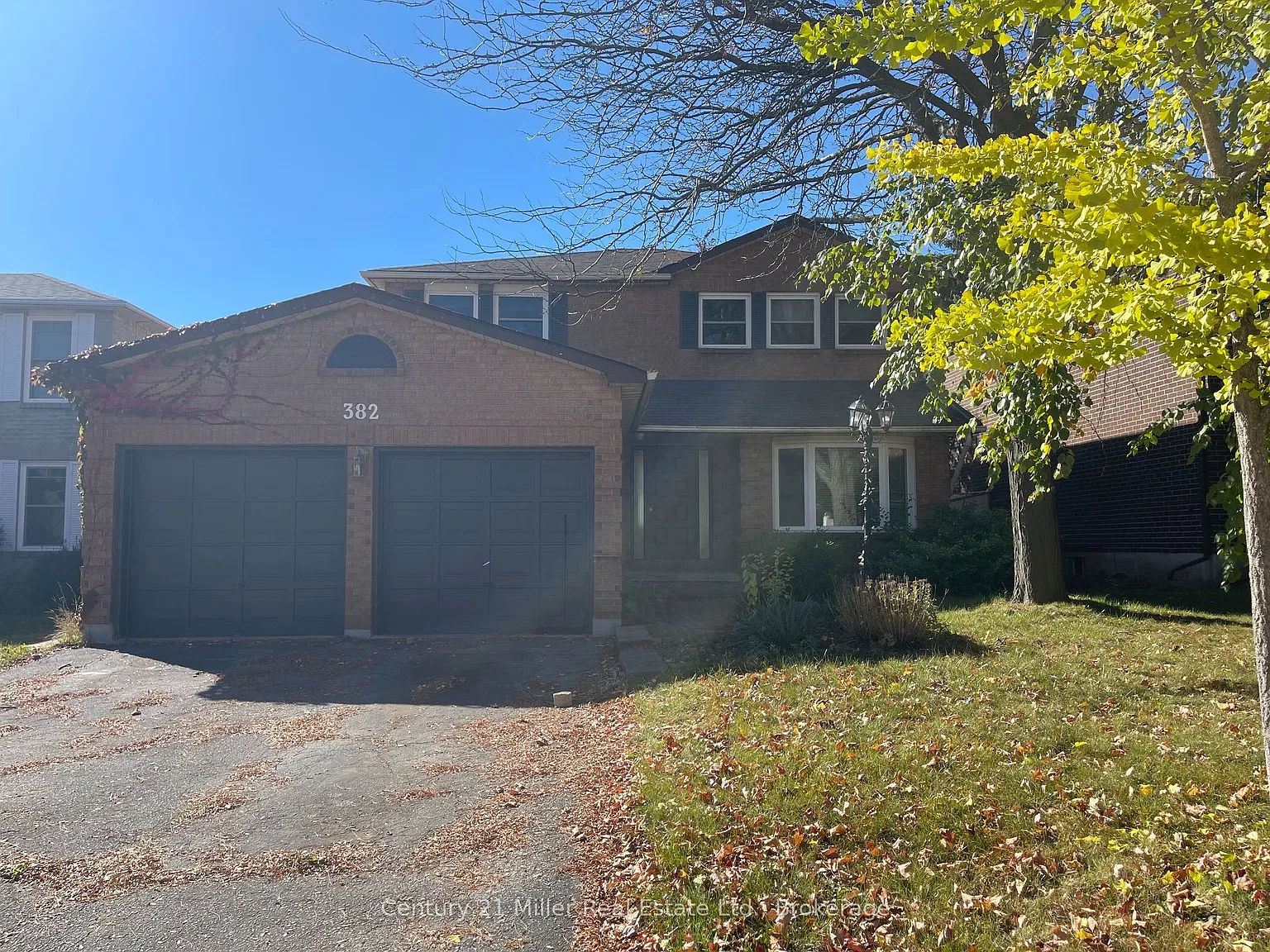 3 bed, $3,800 — Photo 1