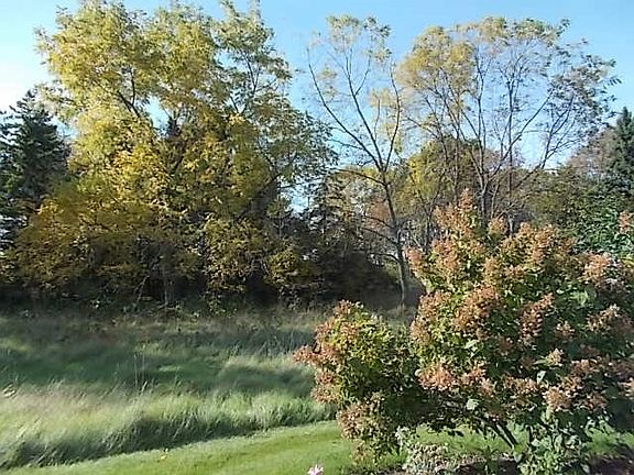3rd image of 7197 Cortland Cir