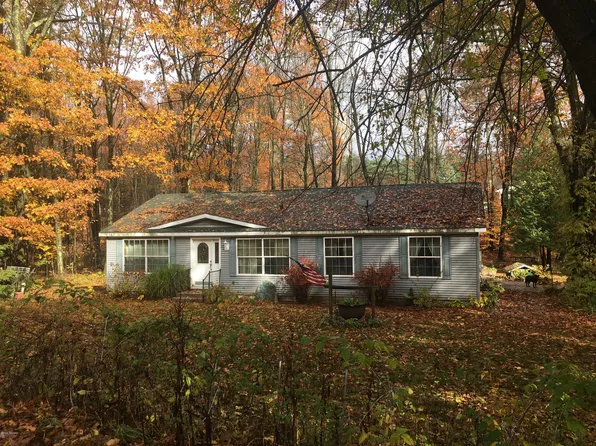 3696 E South Cobmoosa Trl, Hesperia, MI 49421