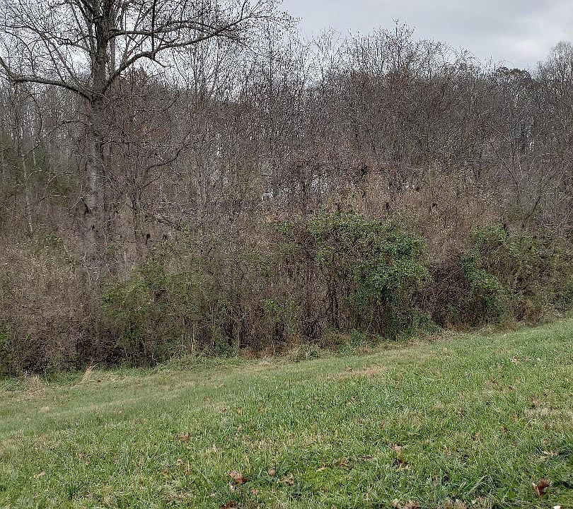 2nd image of Spinnaker Dr
