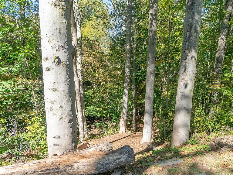 Path to natural brook