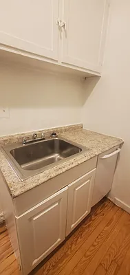 Rented by Manhattan Best Realty, Inc. | media 10