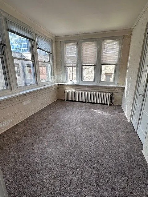 1 bed, $1,260 — Photo 3