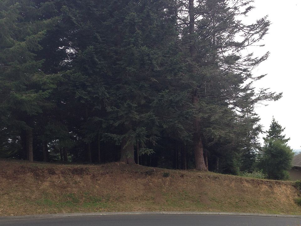 view from across street