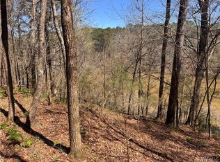 0 Bayside Dr, Northport, AL 35475