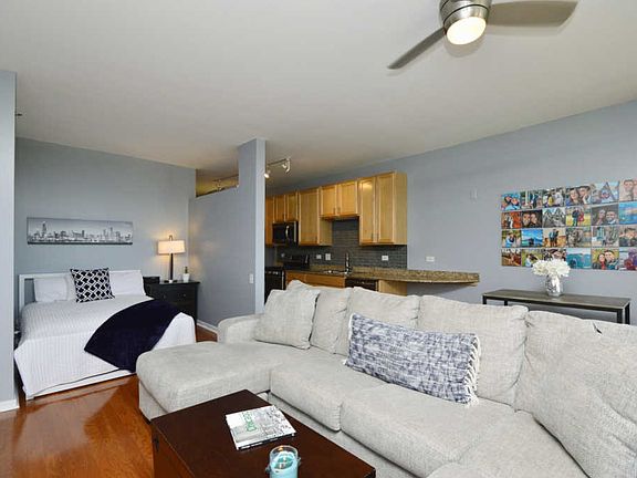 5th image of 210 S Des Plaines St #1003