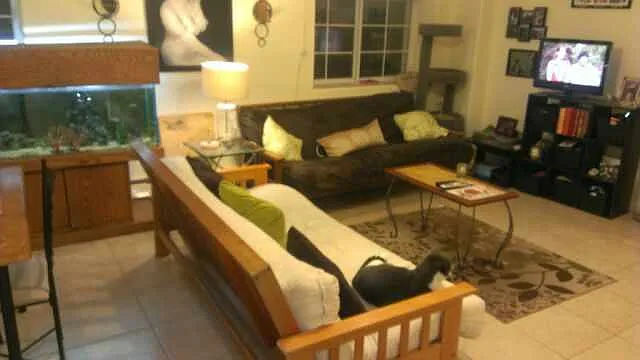 This is a beatiful open floor plan. Overcrowded furniture in photo does not do it justice.