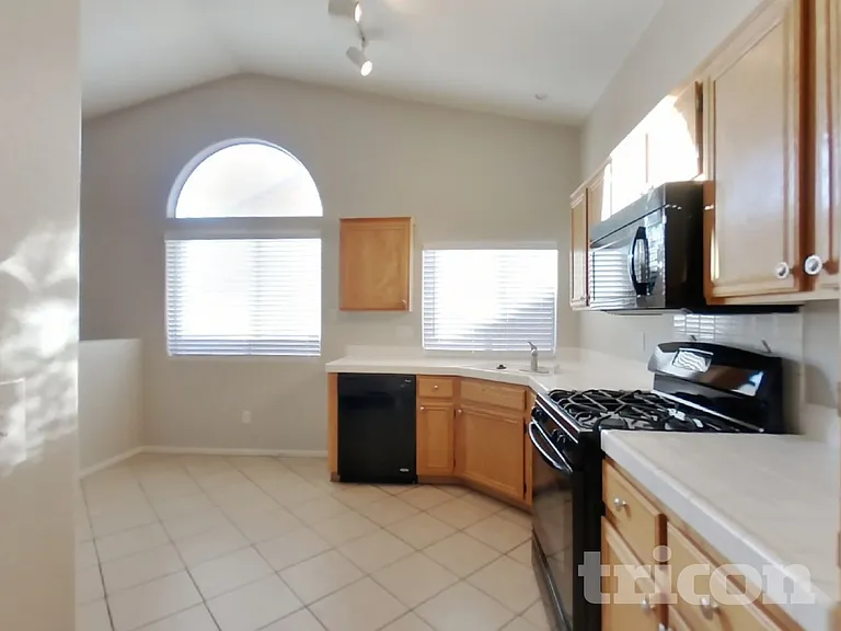 604 Lively Fiesta Way — Photo 6