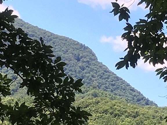 The SE knob of House Mt 