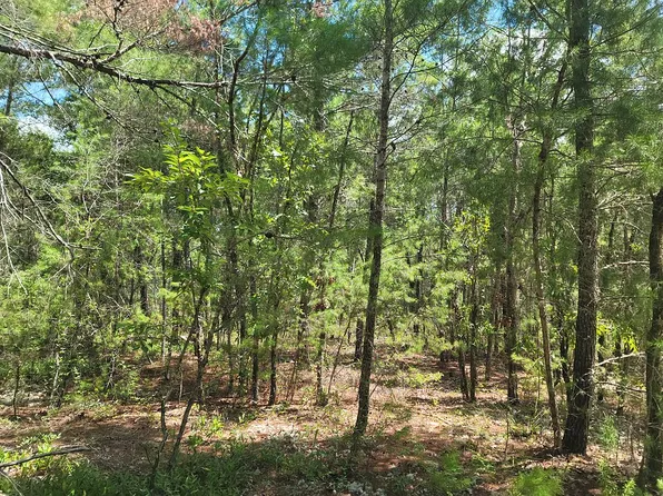 104 Acorn Ct, Interlachen, FL 32148