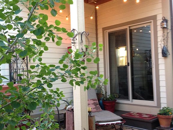 3rd image of 32 Stafford Ave