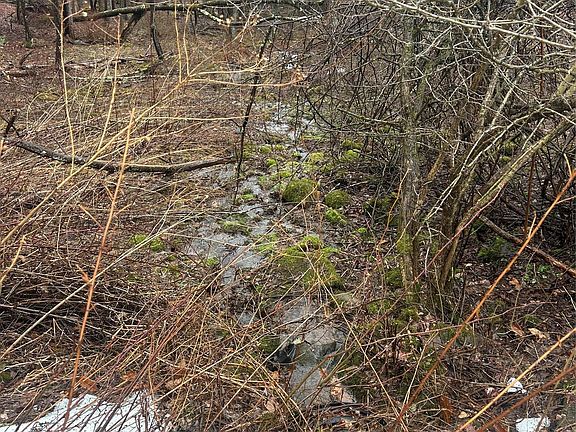 2nd image of 395 Back Shandelee Road