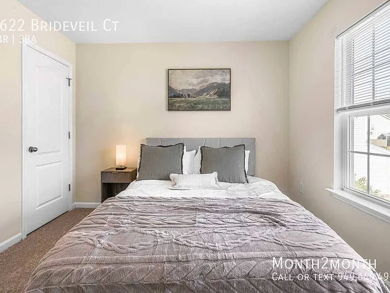 3622 Brideveil Ct — Photo 21