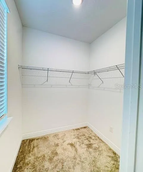 2233 Shadowland Loop — Photo 35