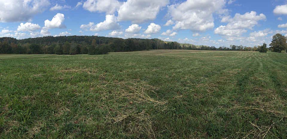 Beautiful open 44.9 ac. +-