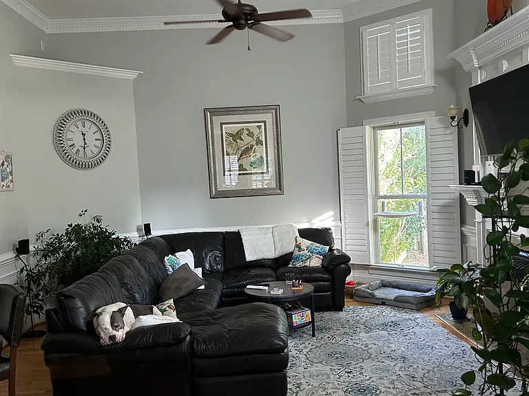 4605 Badger Springs Rd — Photo 5