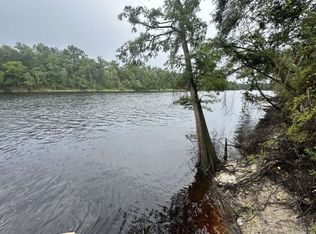 484 NW North Whitewater Trl, Mayo, FL 32066