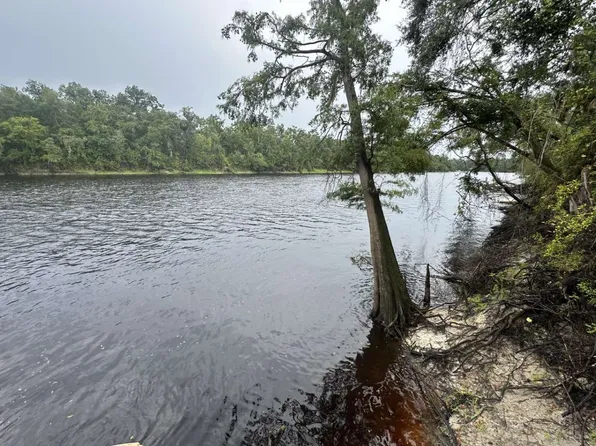 484 NW North Whitewater Trl, Mayo, FL 32066