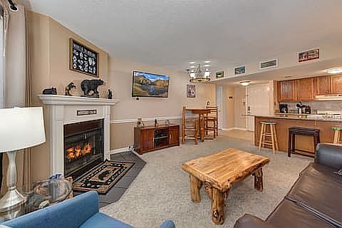 4th image of 1380 Ski View Dr APT 1205