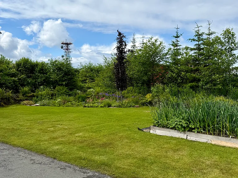 17019 Island View Dr — Photo 29