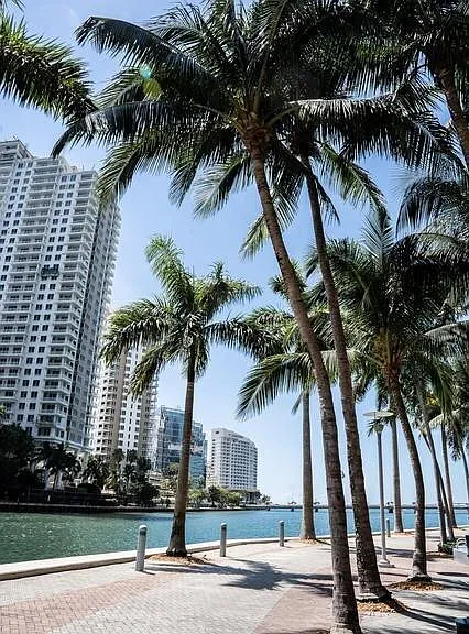 495 Brickell Ave #1605 — Photo 36
