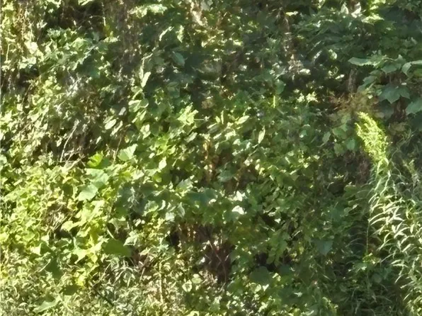 0 Pellet Rd #8, Hannibal, NY 13074