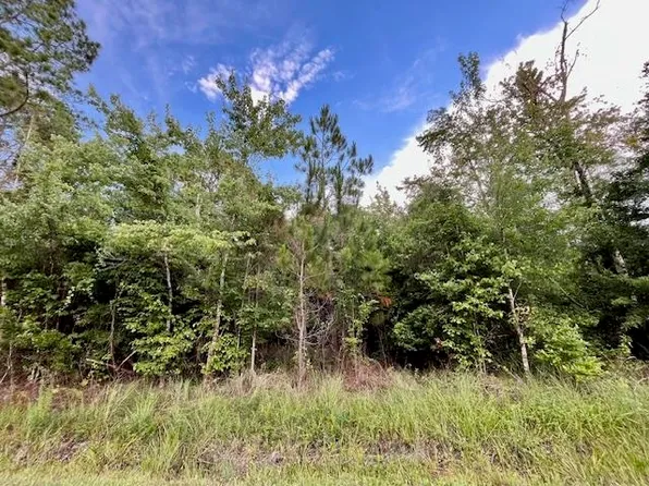 10130 Dillon Ave, Hastings, FL 32145