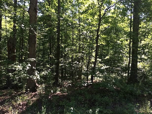 1st image of Tall Oaks Ln