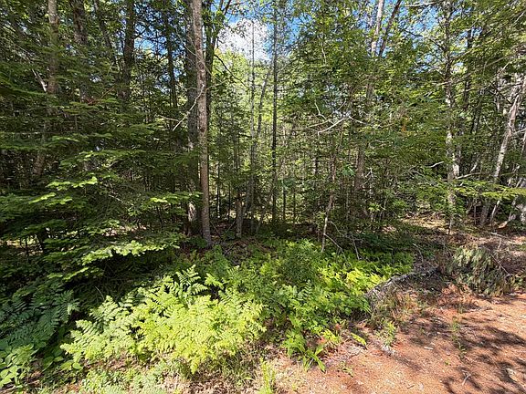 3rd image of Lot R05129 Polly Clark Brook