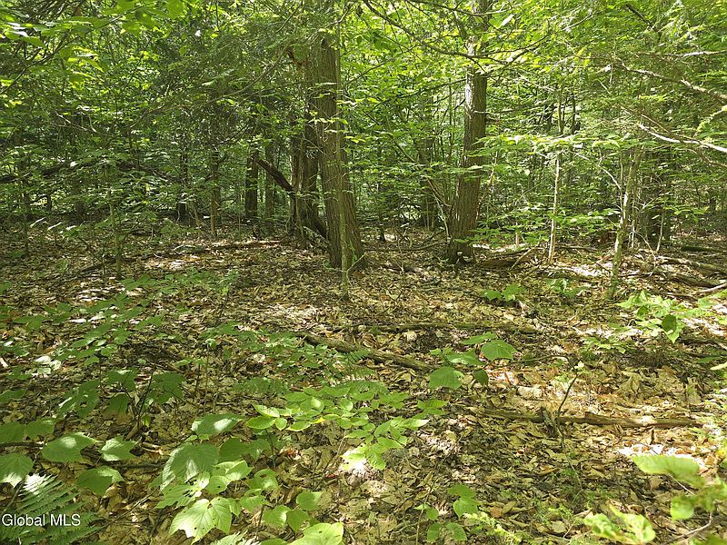 4th image of 466 Broome Center Road