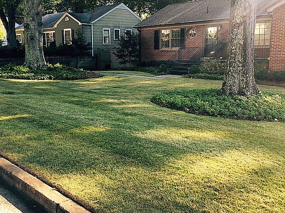 Updated Landscaping