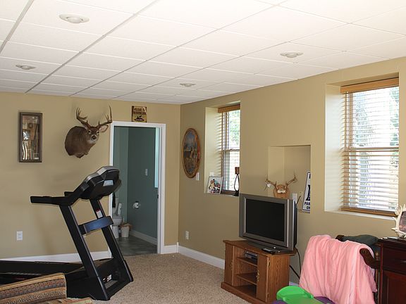 Back Room/Bedroom/Office