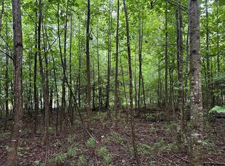 8 Sawmill Rd LOT 8, Palmer, TN 37365
