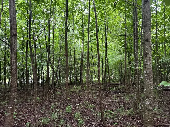 8 Sawmill Rd Lot 8, Palmer, TN 37365