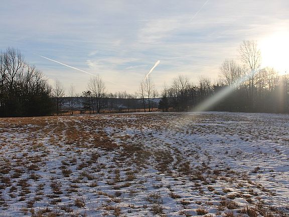 hayfield next to home