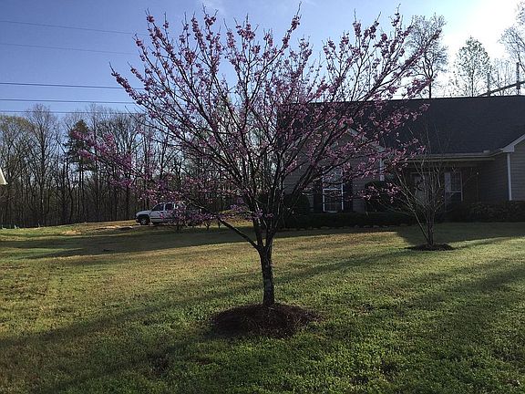 3rd image of 278 Jimmy Reynolds Dr