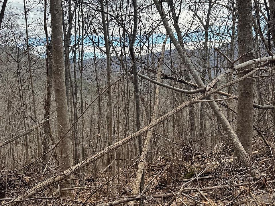 2nd image of 99999 Penland Rd