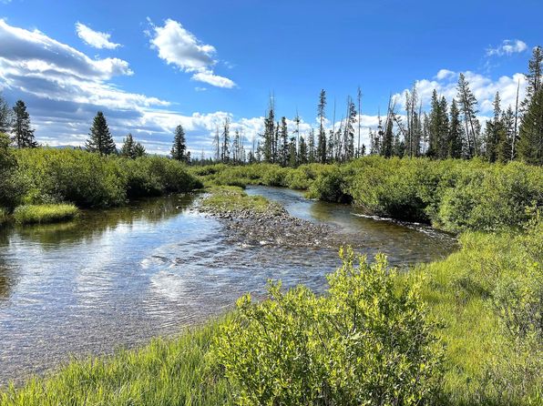 Highway 21 & Cow Camp Rd, Stanley, ID 83278