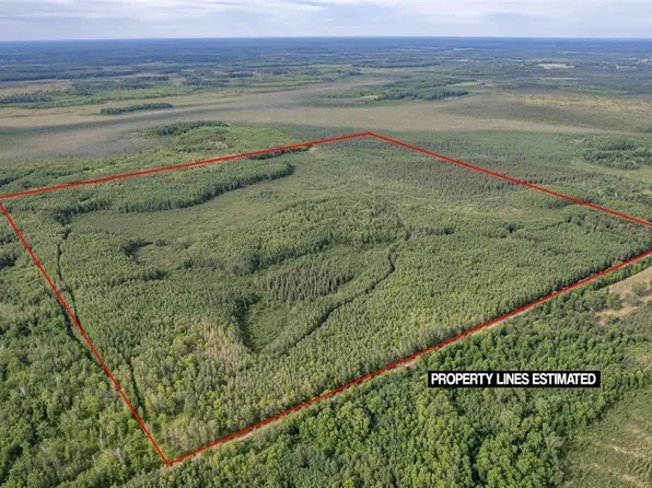 Digs Dr, Wright, MN 55798