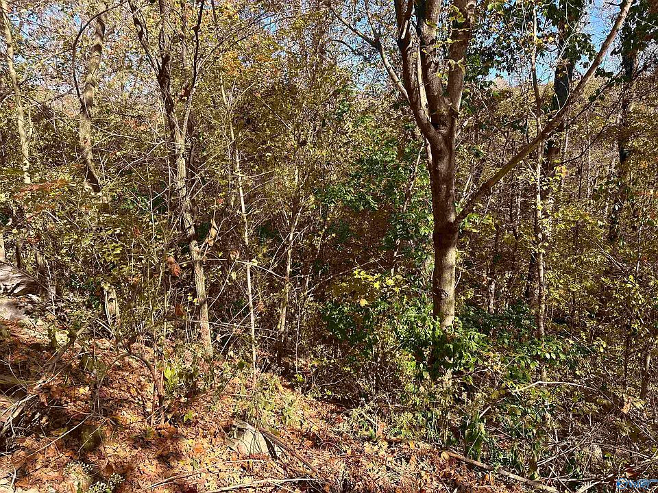 2nd image of 4619 Legacy Preserve Way SE