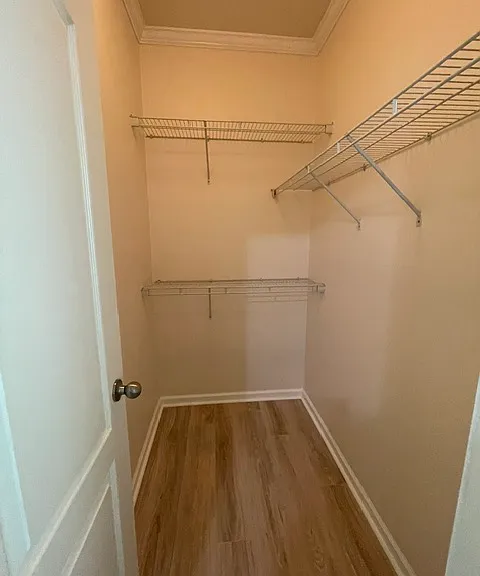 17 Cady Ct — Photo 9