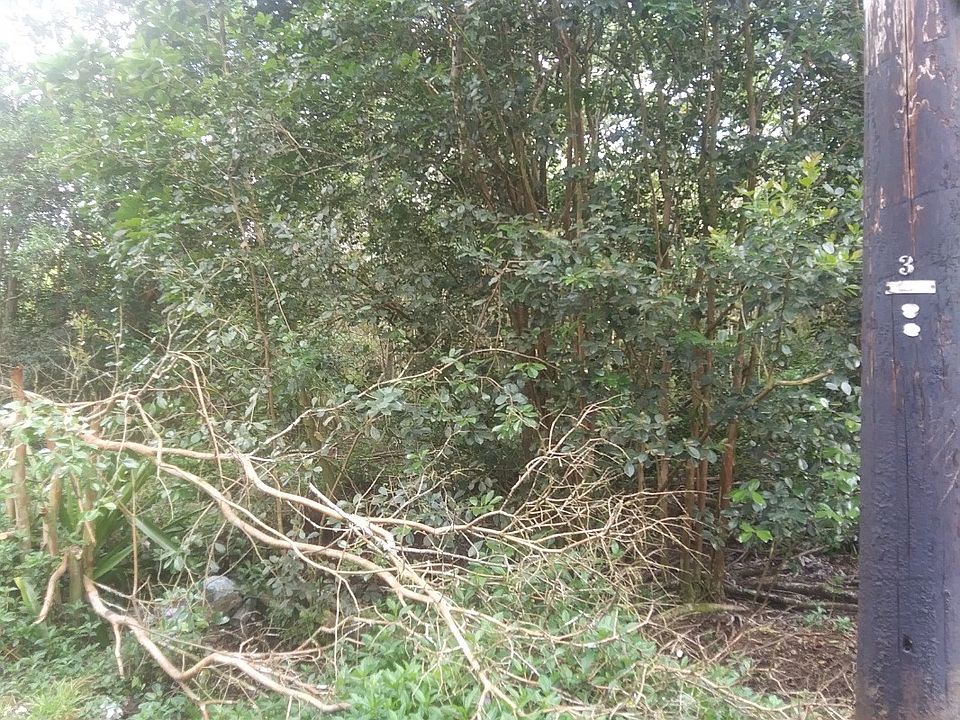 2nd image of 26th Avenue Olena Lot 852