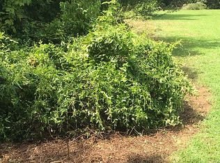 944 George Roberson Ln, Graham, NC 27253