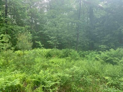 00 Highland Street, Ashland, NH, 03217