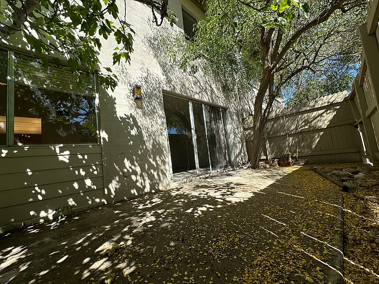 Lovely, peaceful private back patio with mature fig and other trees.