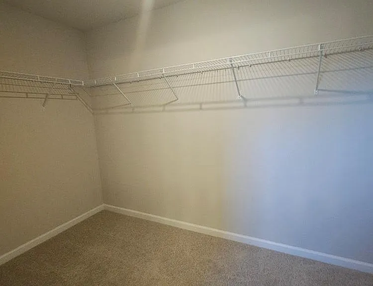 411 Copes Ct — Photo 22