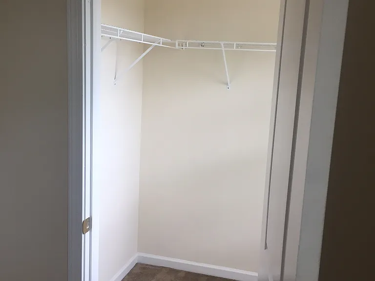 Owner's walk in closet