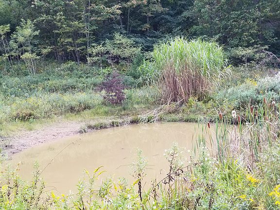 3rd image of 1 Ashton Woods Dr